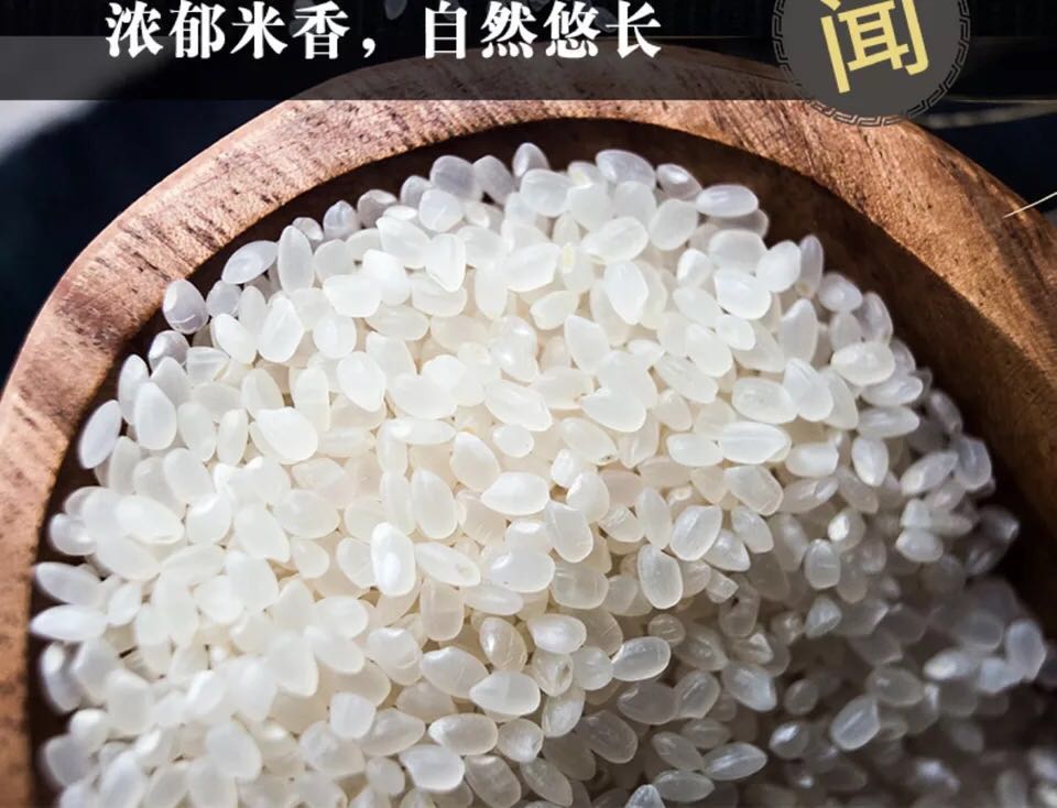问道79王宝宝